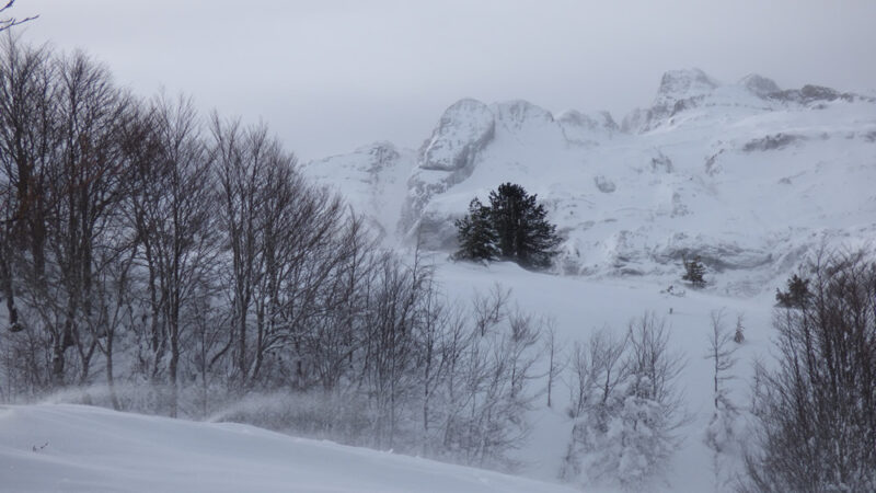 Con v de nieve