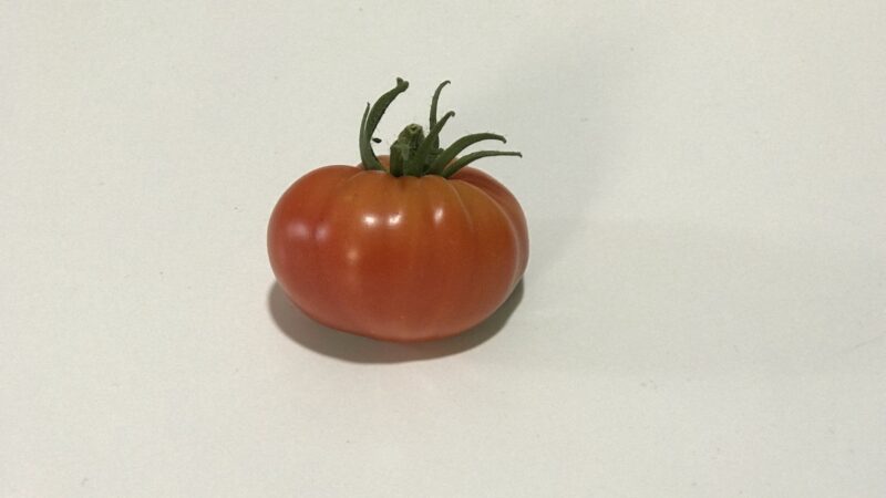 He tenido un tomate