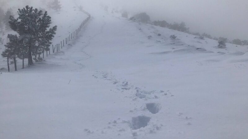 Sobrevivir al invierno