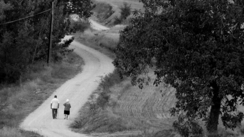 Carreras con corredores que no corren